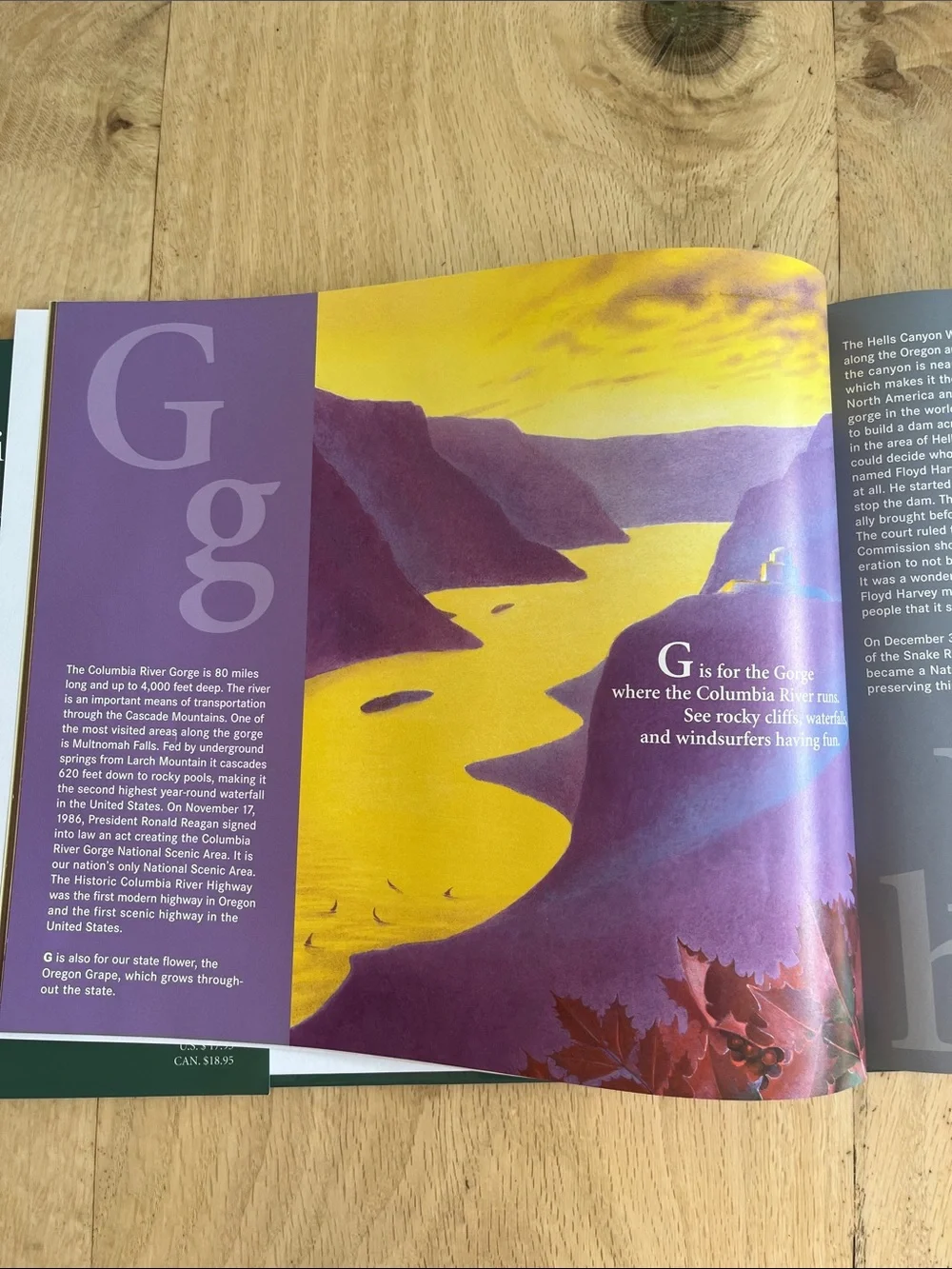 State Alphabet Books - Oregon and Arizona